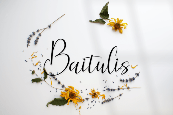 Baitulis: A Refined Script Font for Elegant Digital Branding