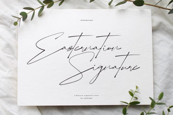 Easternation Signature: A Designer’s Real-World Review