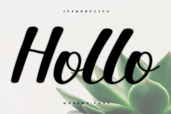 Hollo: A Handwritten Font with Editorial Warmth