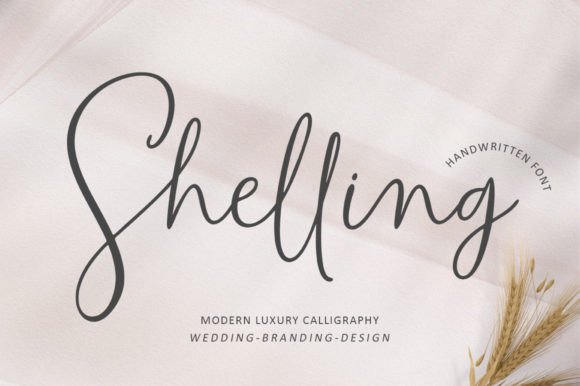 Shelling: A Handwritten Font for Editorial Elegance