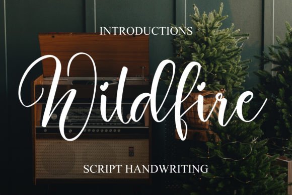 Wildfire: The Handwritten Font That Elevates Your Brand